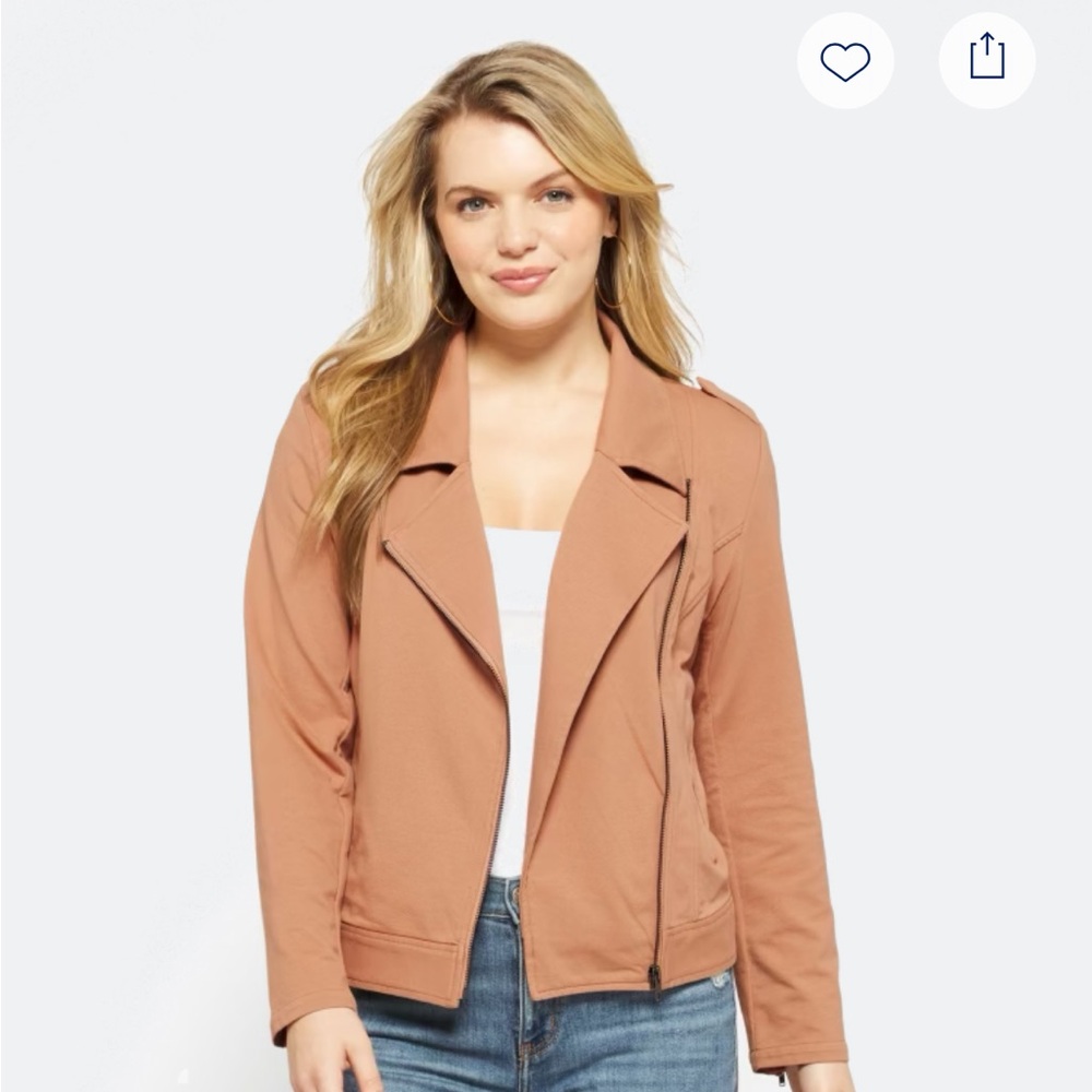 Market & Spruce Naomi Knit Moto Jacket